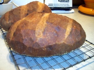 ale: made with ale. I was testing to see if I could upload pictures,,,,, Looks like "yes I can," :-)))qahtan