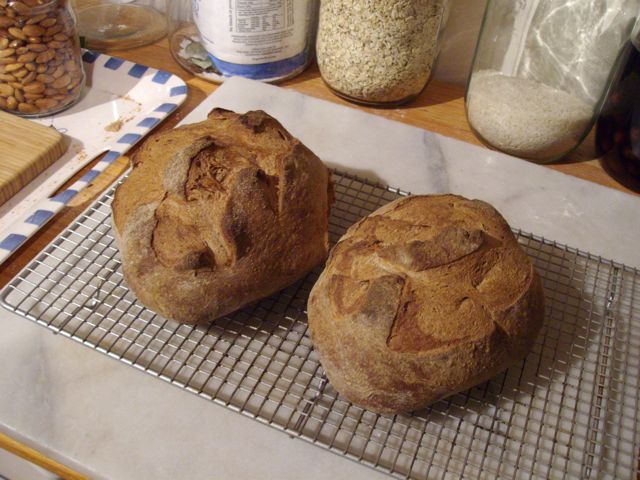 multi-grain boules