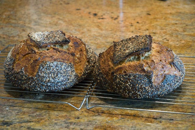 Tartine Semolina Loaves