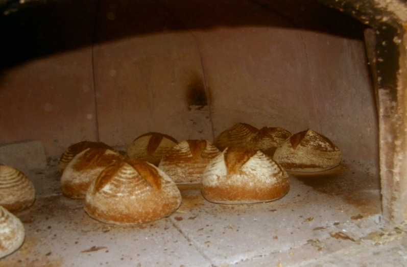 100% warthog whole wheat no sculping castle valley mill 