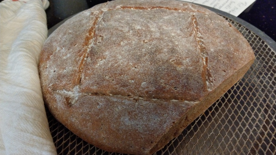 failure loaf attempt #2 (part of the first couple of falure test breads)