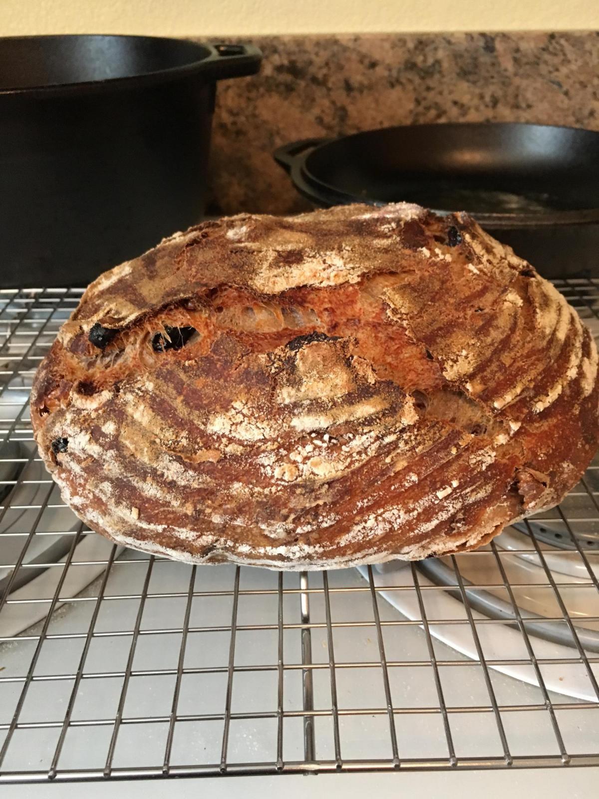 Cranberry Walnut Sourdough -- cooling