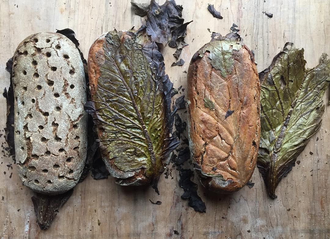 Whatcom grown rye and potatoes, water, sea salt, and time. Baked on the battered outer cabbage leaves from our winter garden