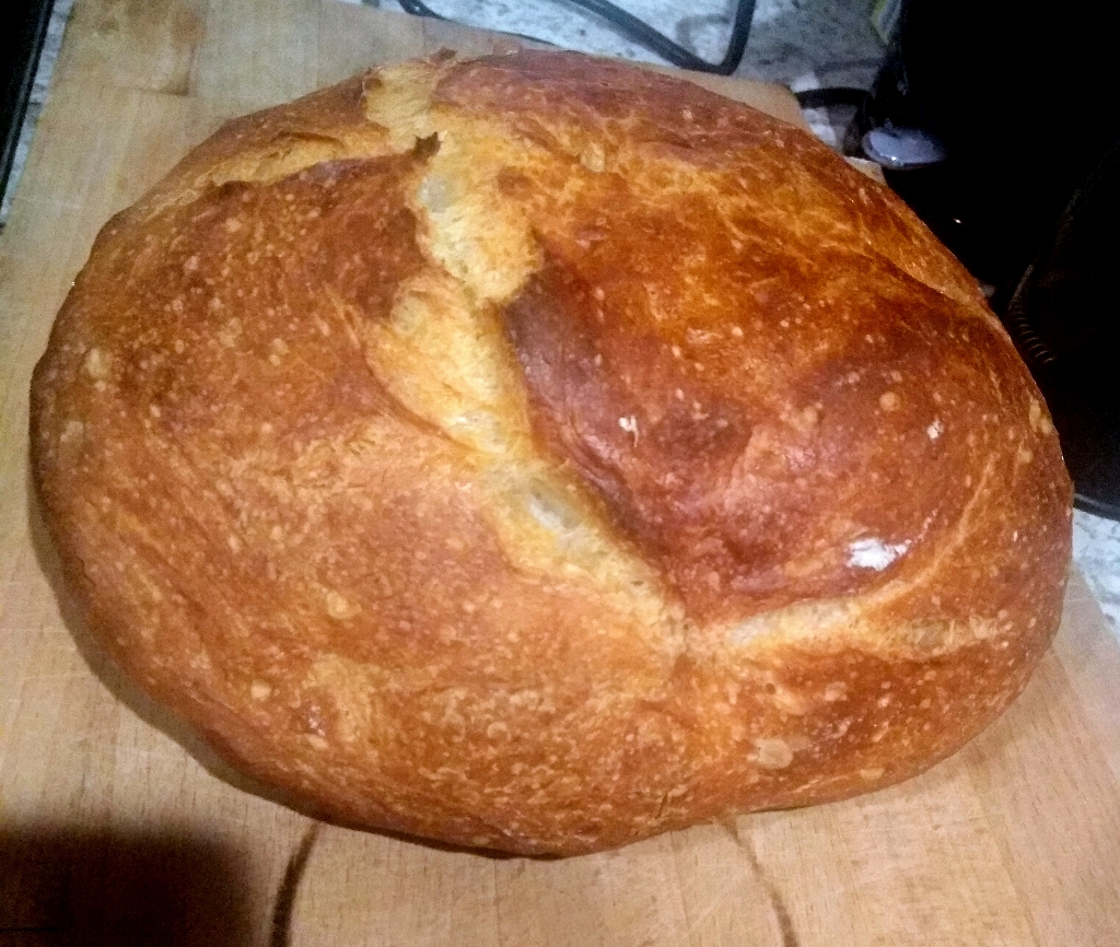 Crust shot of first sourdough 1