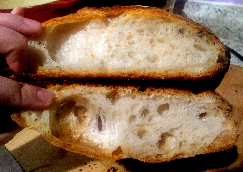 Crumb shot of first sourdough dough