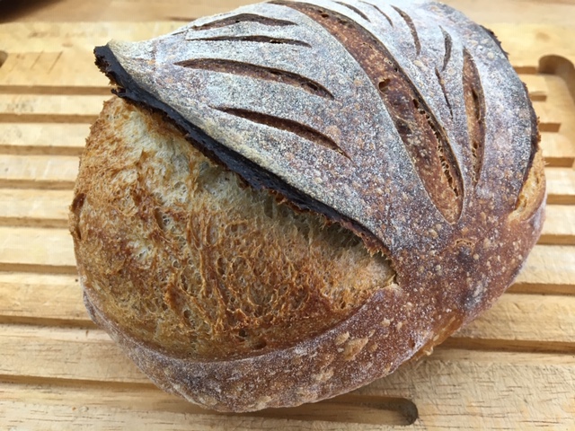 my first sourdough loaf