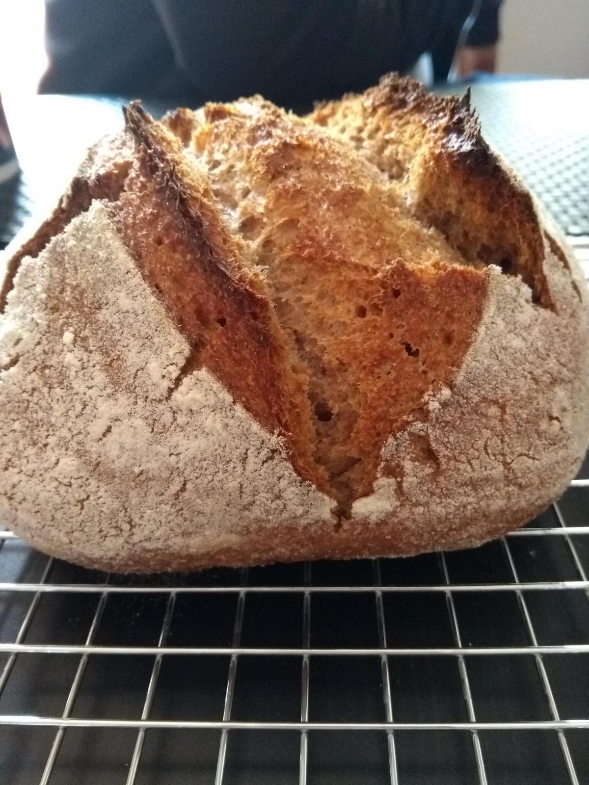 Whole Wheat 02