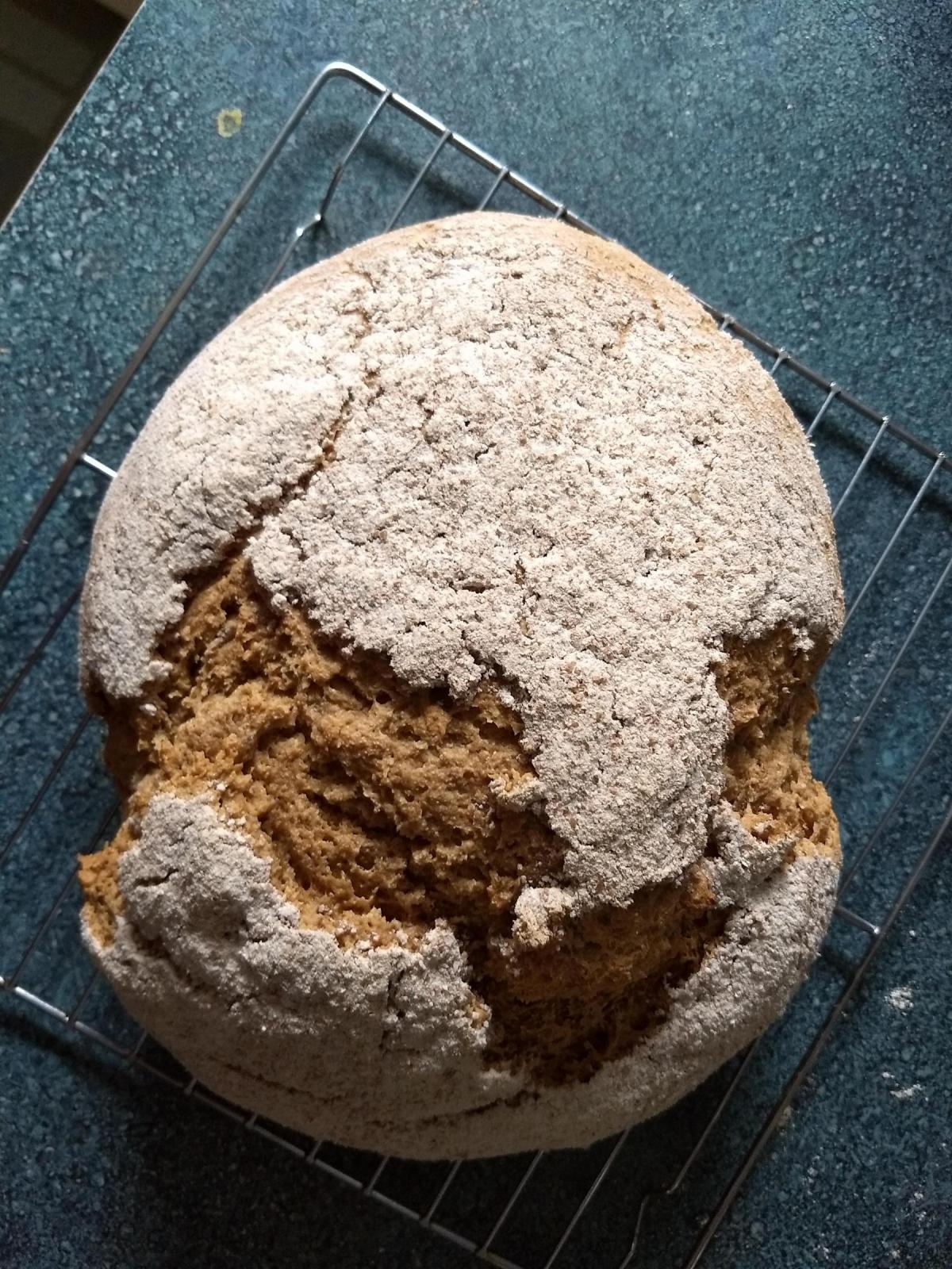 Loaf, cooling, from above
