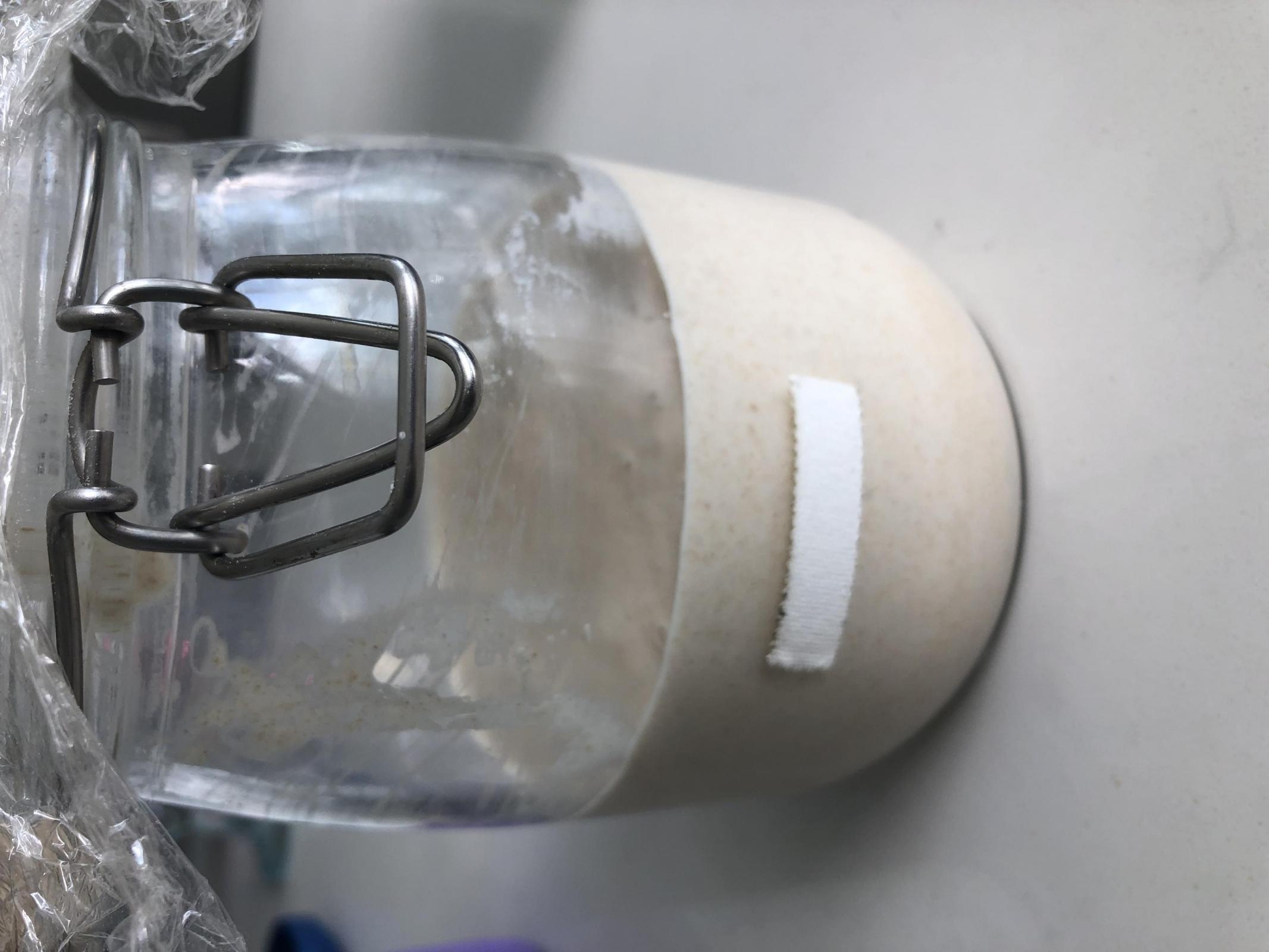 starter after feeding 1.5 hours ago