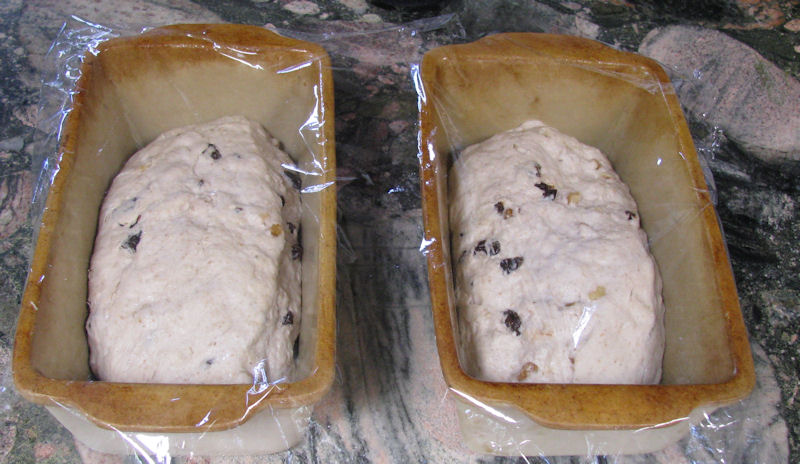 San Francisco starter with fruit and nuts