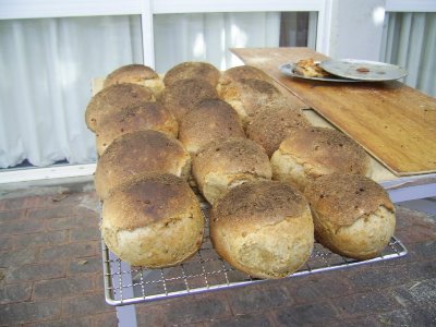 sprouted wheat and dark ale