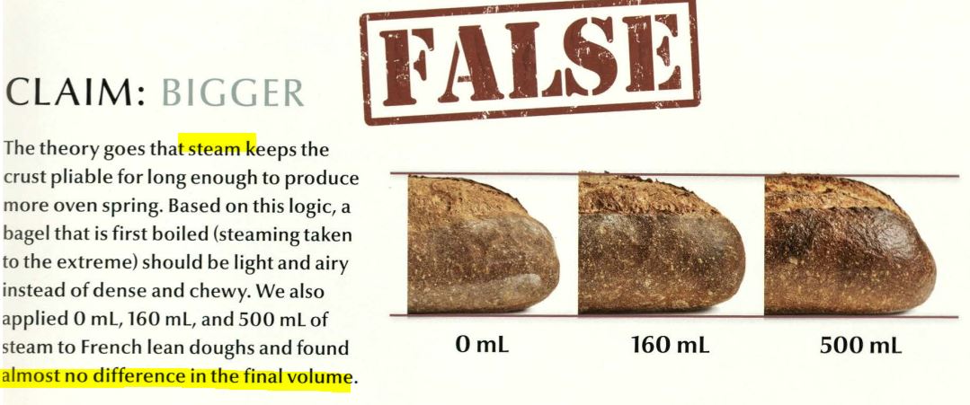 steam and oven spring