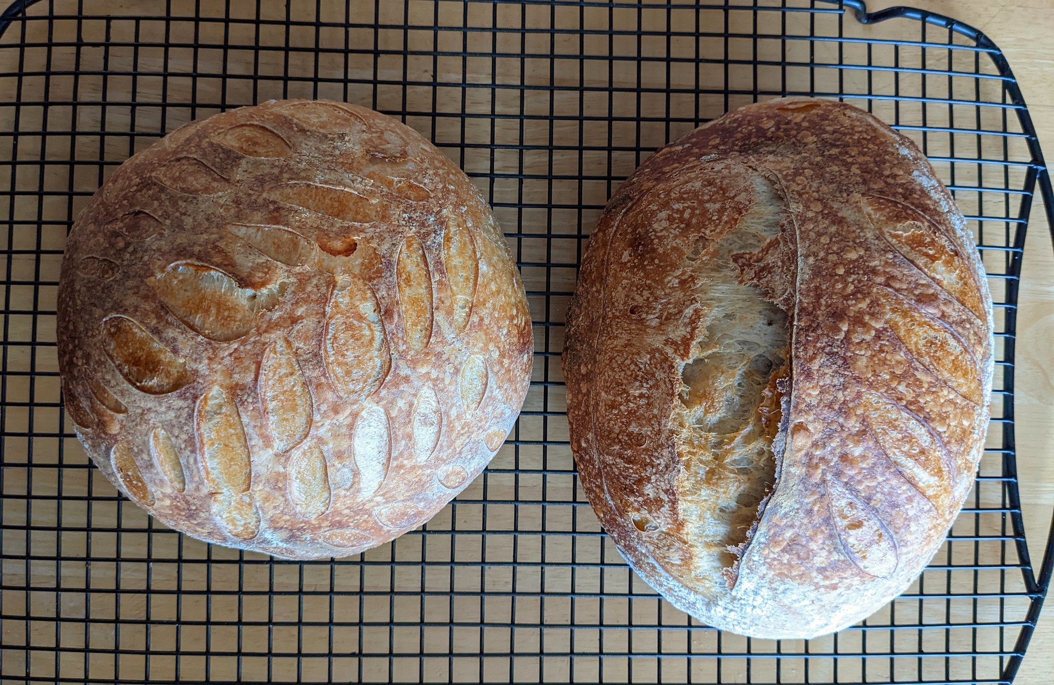 Sourdough loaves