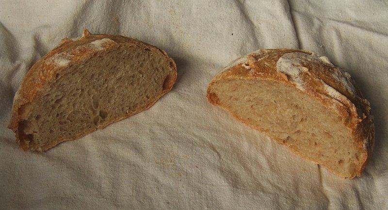 BBA Pain de Champagne Crumb