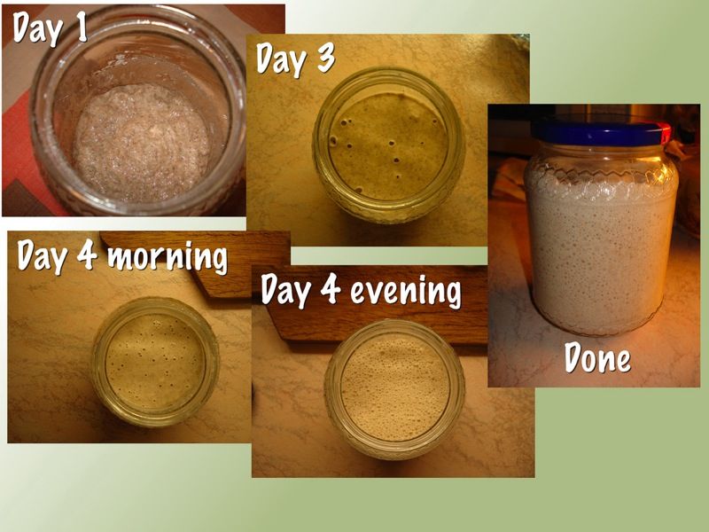 Starter from scratch