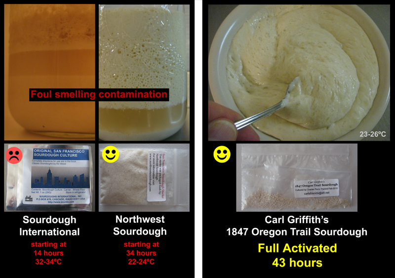 Wood's, Teresa's & Carl's Dried Starters