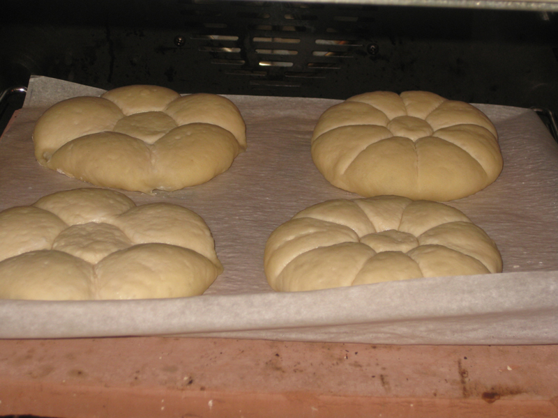 Ready for 1st spritz in oven