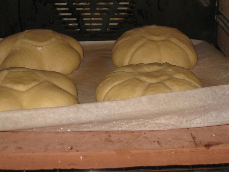 Ready for 2nd spritz