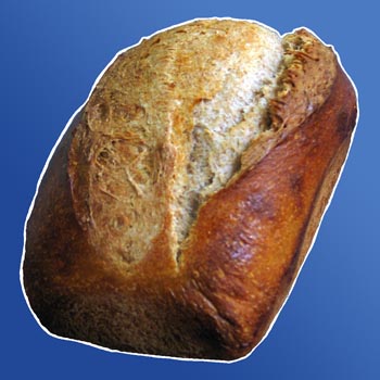 sourdough whole wheat