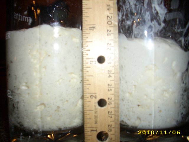 Yeast Vs. Sourdough after 6 hours