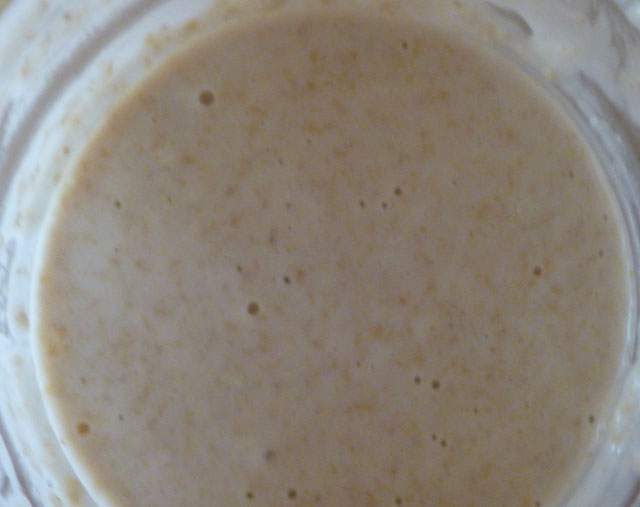 Starter day 4 after first feeding