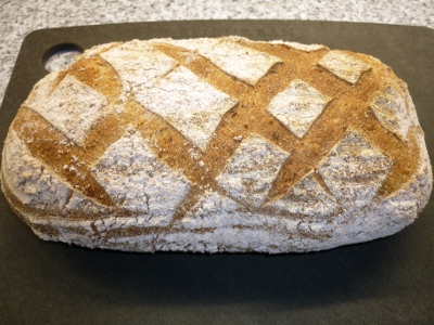 levain 1