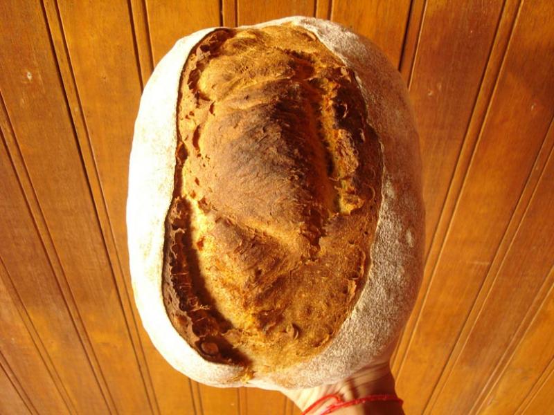 Pumpkin Seed Atta Sourdough Batard, Trial 1