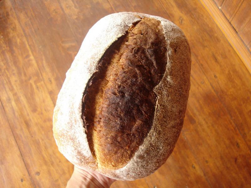 Pumpkin Seed Atta Sourdough Batard, Trial 2