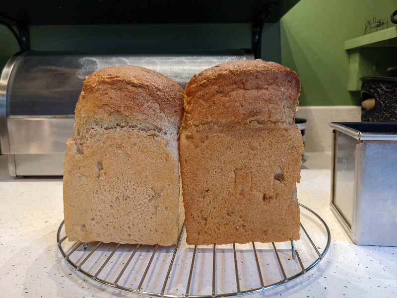 FLAS on left, SD on right