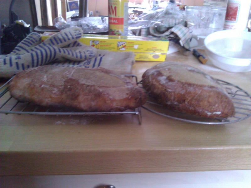 Ciabatta after baking