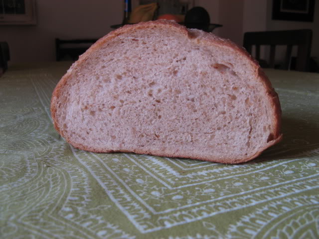 Crumb of Pain de Campagne