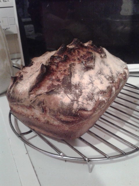 Ermintrude's first loaf - single rise white sourdough