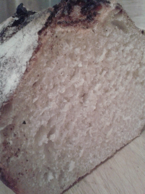 Ermintrude's first loaf - crumb shot