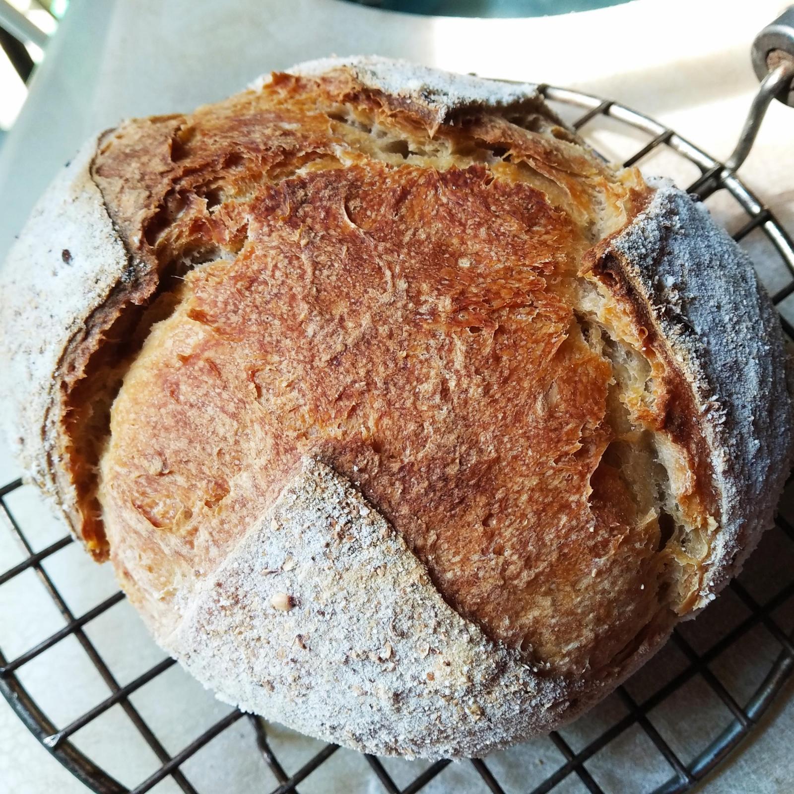 Sourdough boule