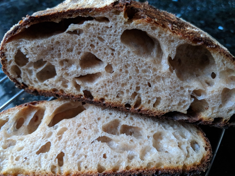 revived rye starter crumb