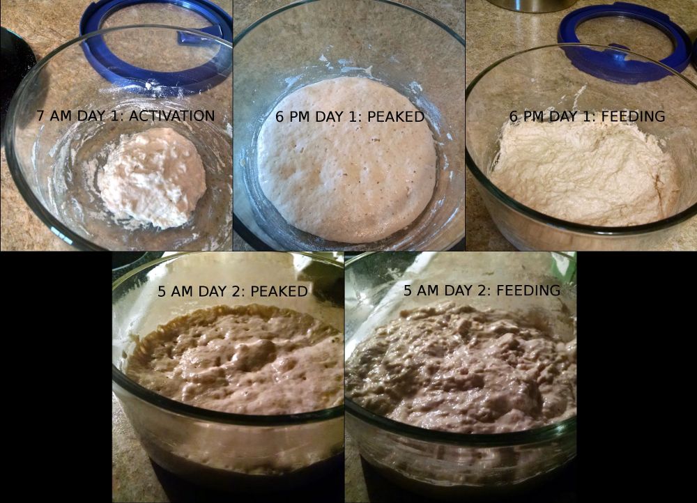 starter activation montage