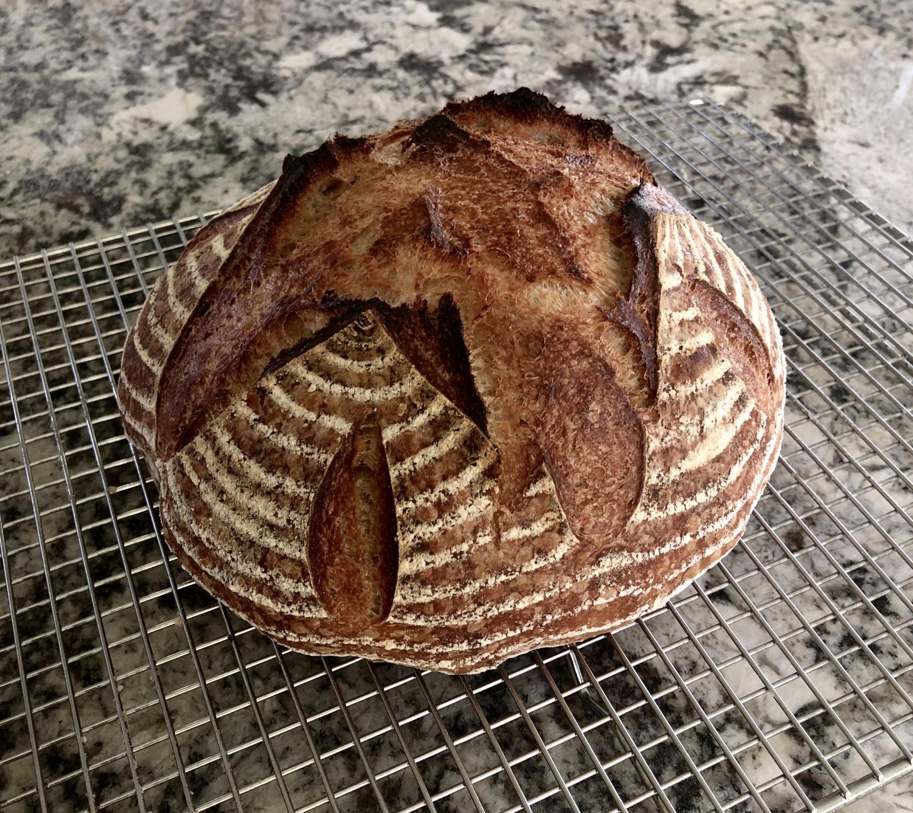 Maurizio’s Beginner’s Sourdough