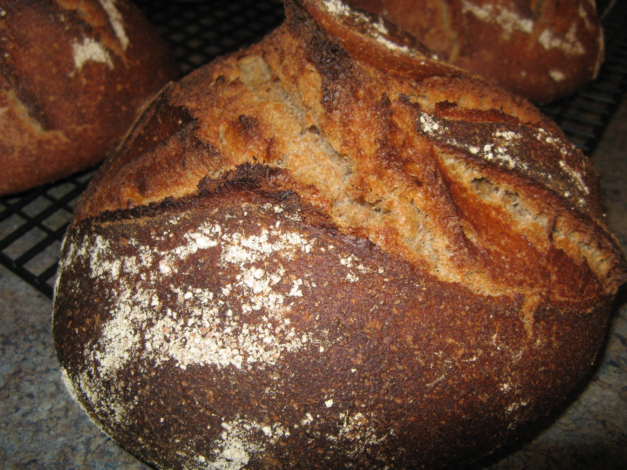 Whole Spelt Sourdough