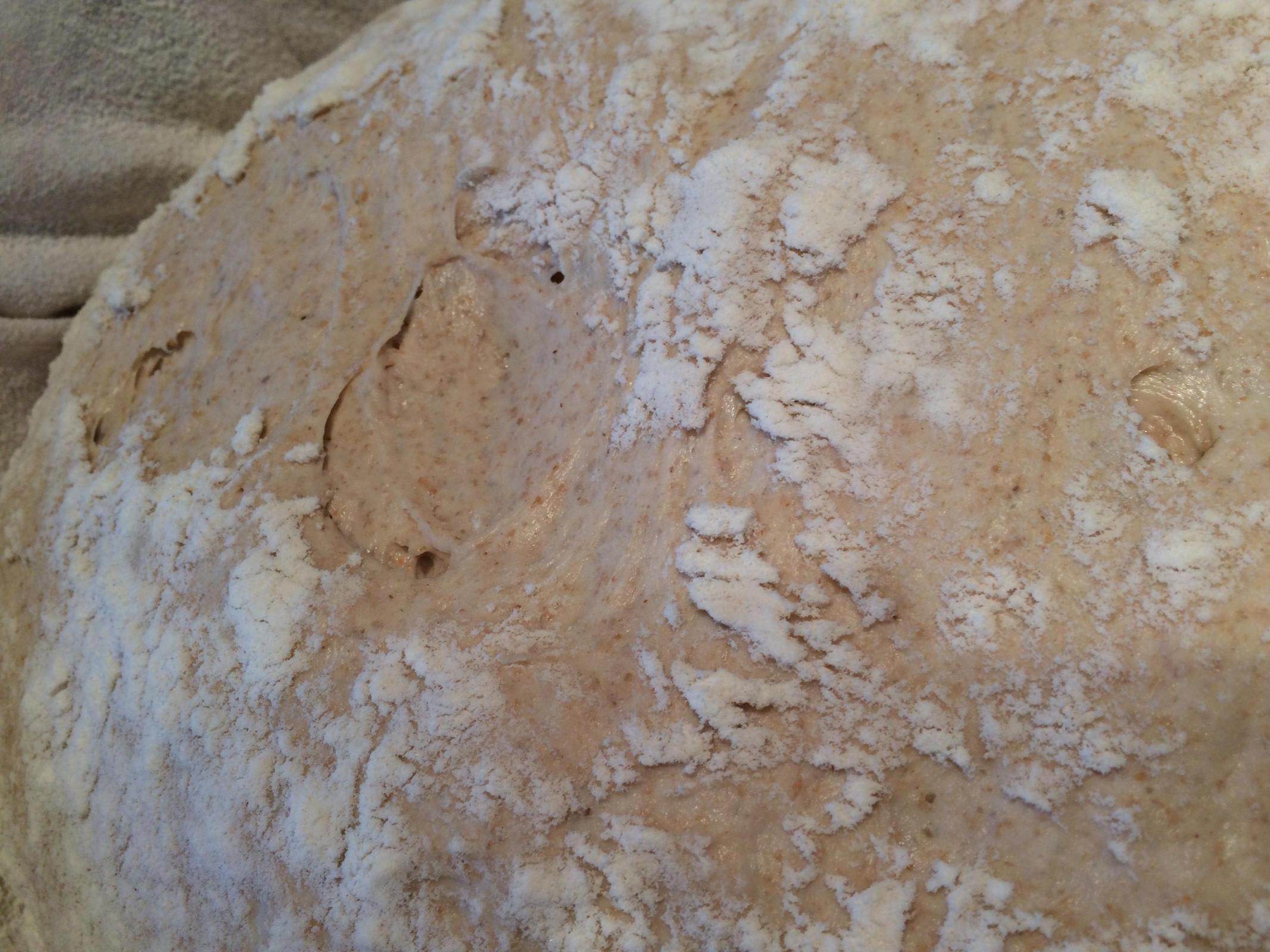 Proofing dough with tears