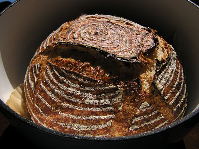 Five-grain levain