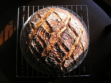 Five-grain levain