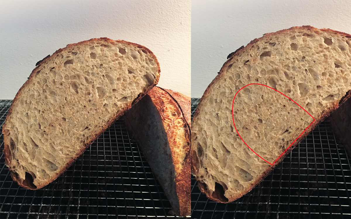 dense crumb section