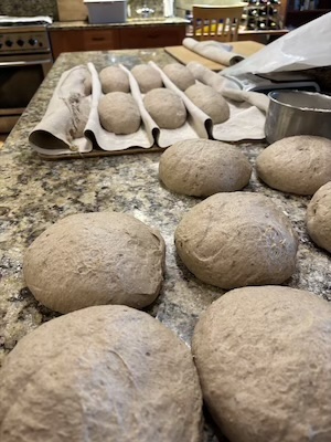 Dough, half resting from pre-shape, and  half shaped on the couche