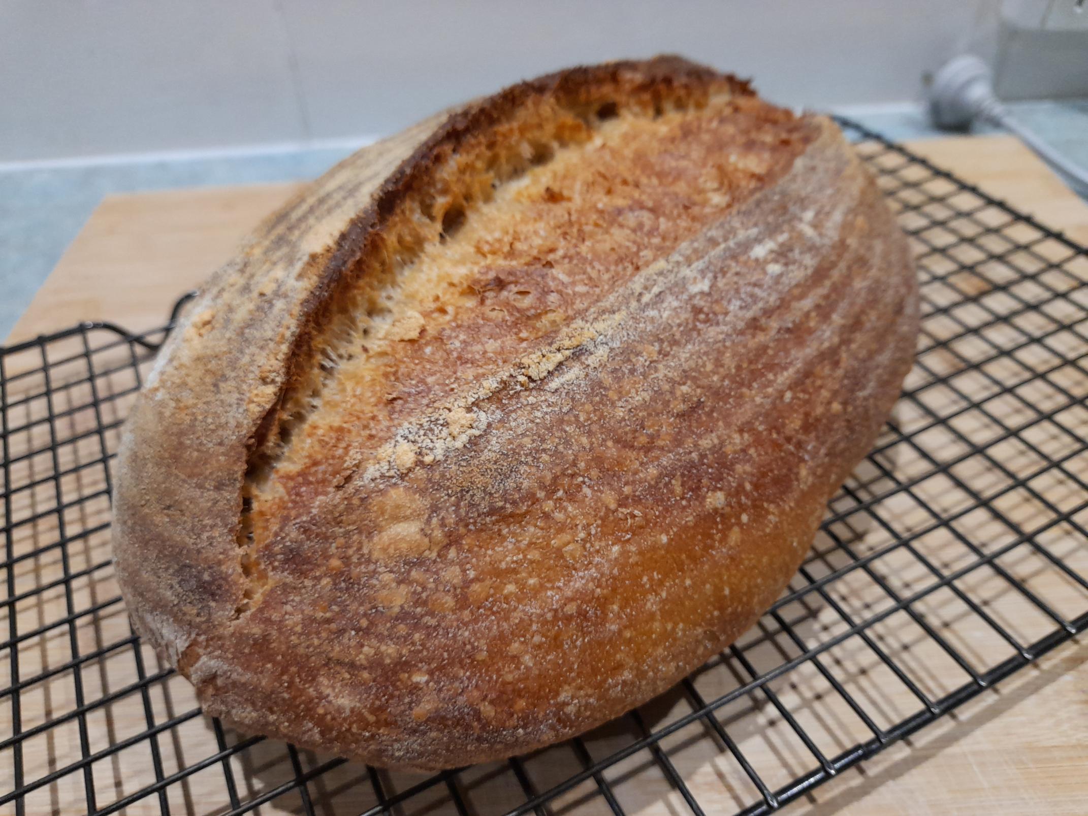 Chakki atta, vwg,, sourdough crumb 