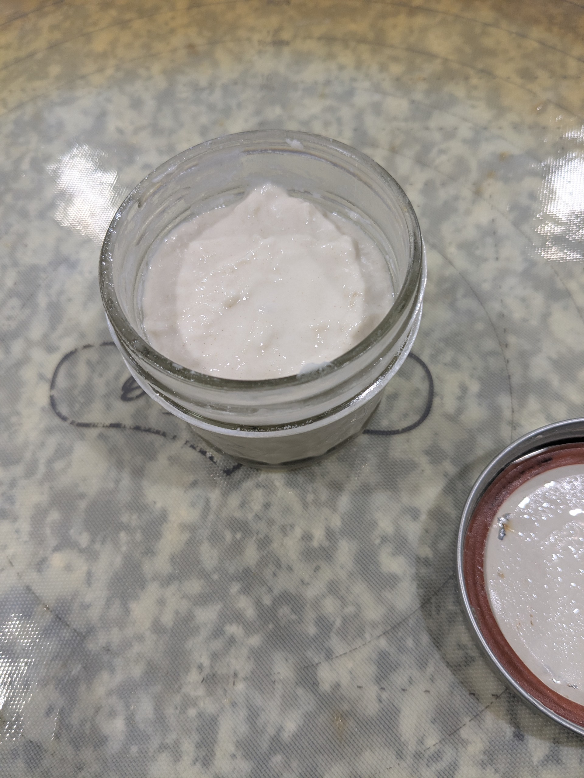 Sourdough starter 