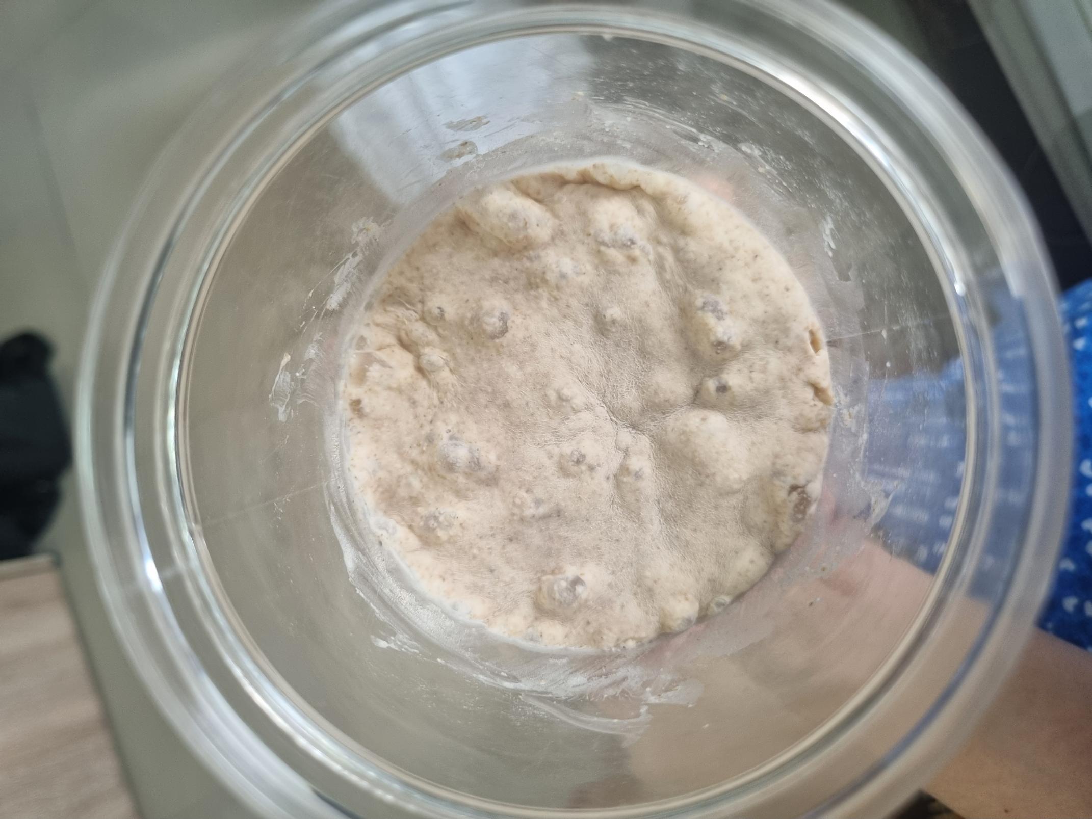 Sourdough starter after feeding