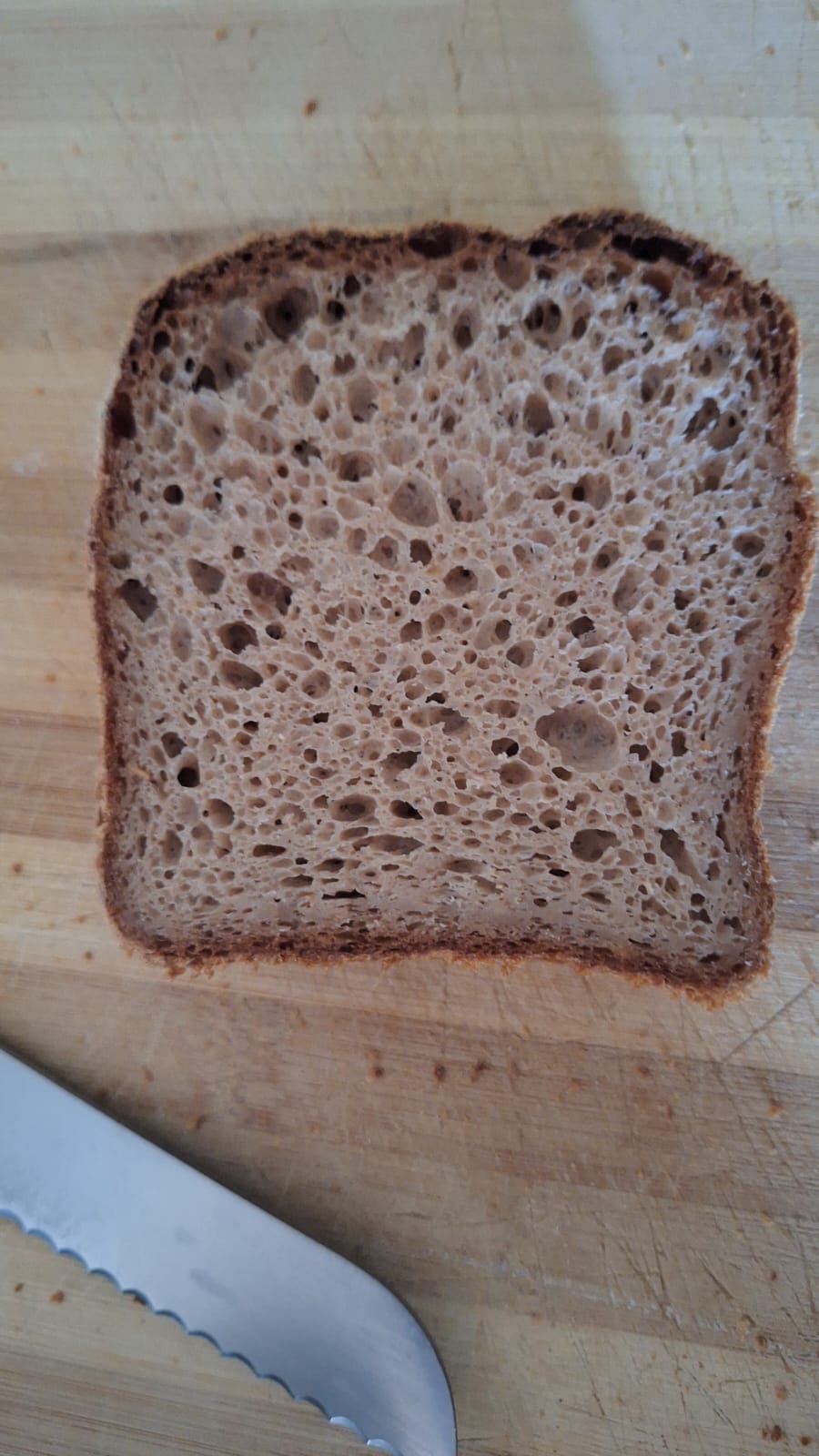 Photo of a decent slice of gluten free bread illustrating the crumb