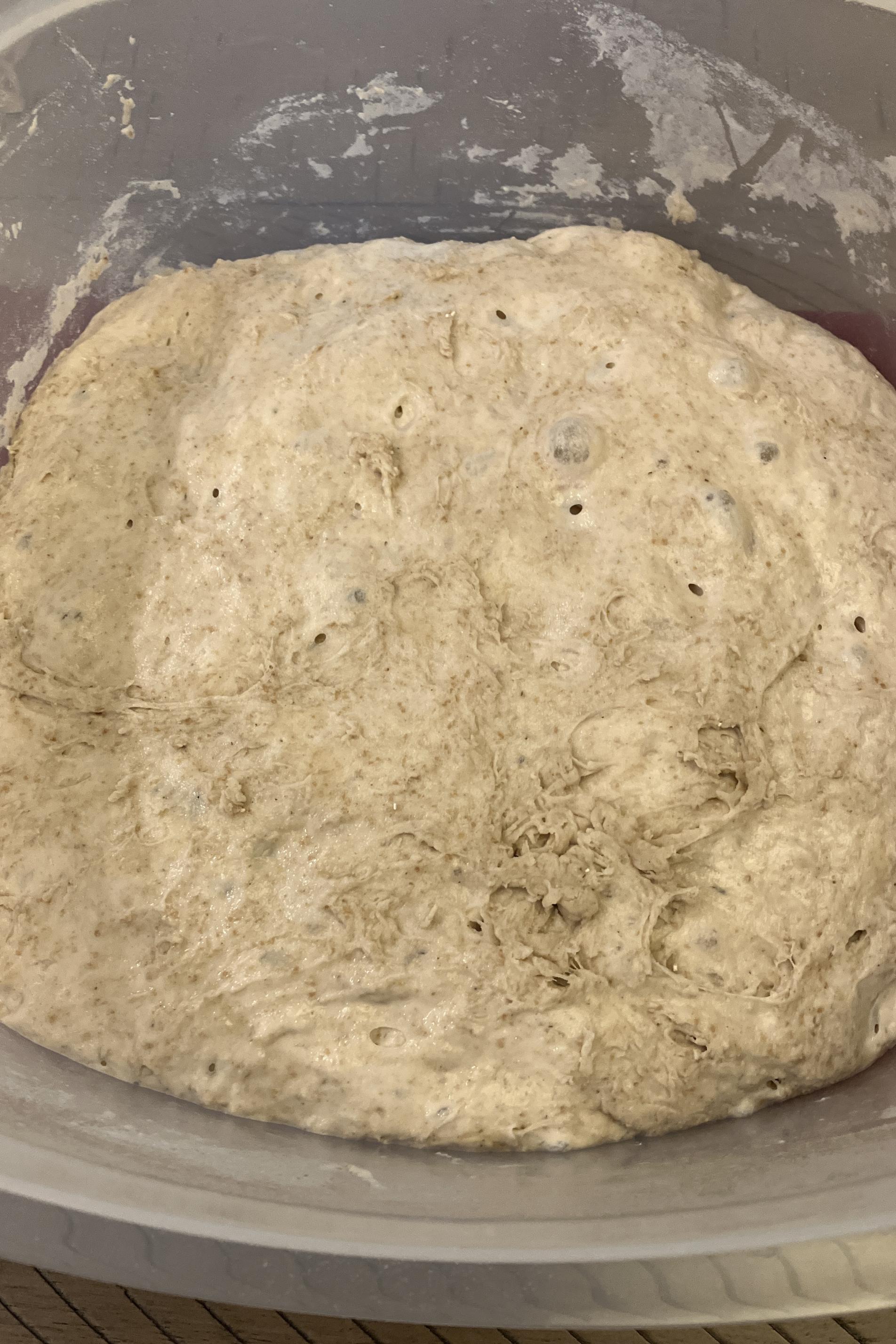 20 hours fermentation