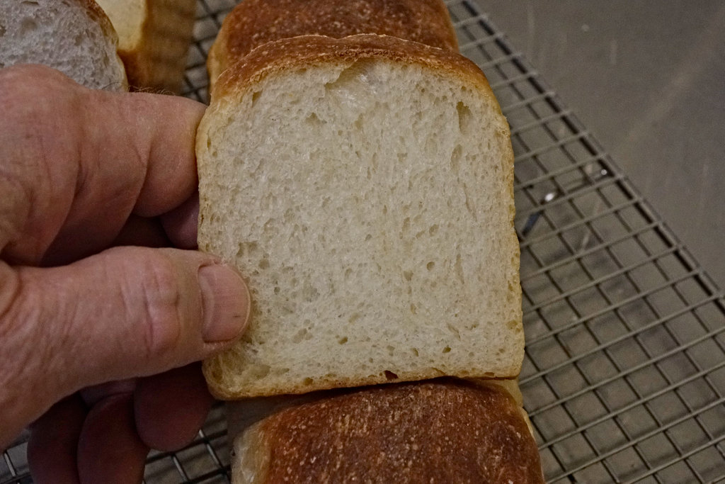 Crumb of small loaf