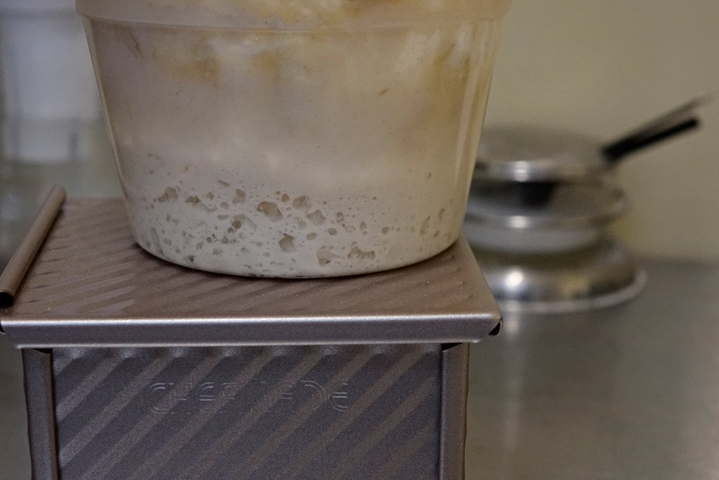 Starter with lacy bubbles